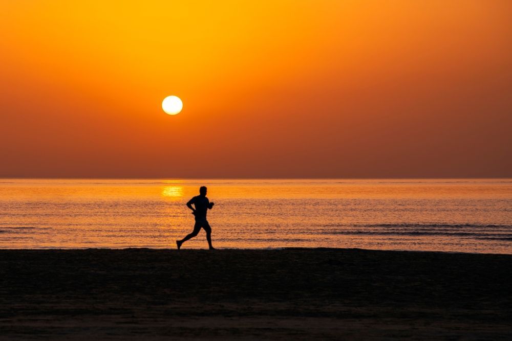 The Discipline of Distance Running and Its Impact on Professional Performance