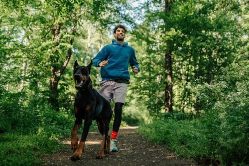 Do's and Don’ts of Running with Your Dog